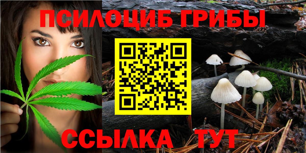 Псилоцибиновые грибы мицелий Клин